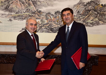 國(guó)家發(fā)展改革委副主任、國(guó)家能源局局長(zhǎng)努爾·白克力